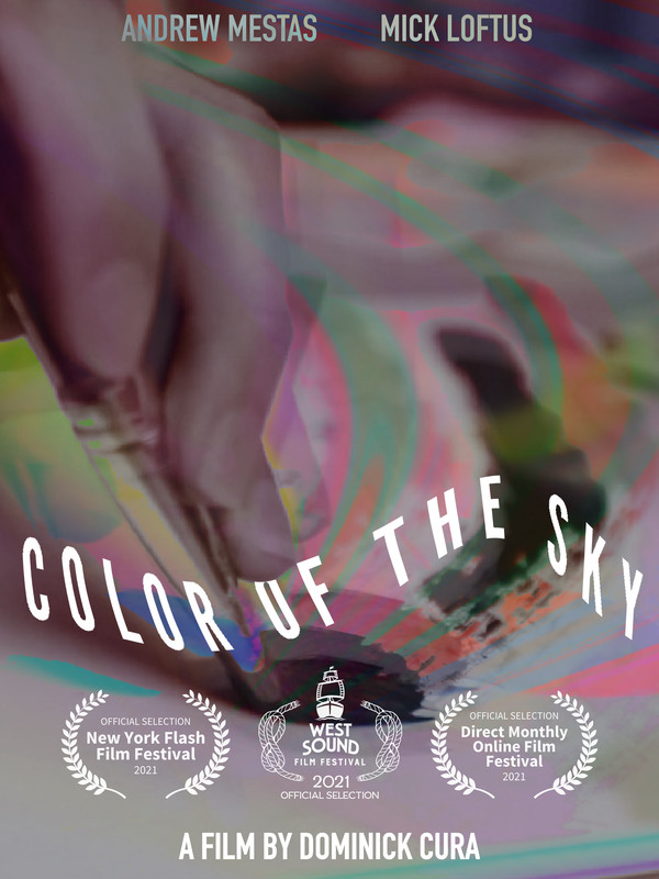 COLOR OF THE SKY short film, audience reactions