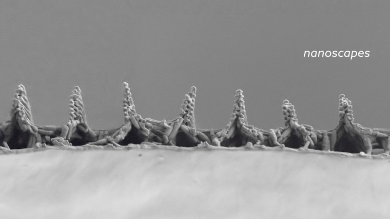 NANOSCAPES short film, audience reactions