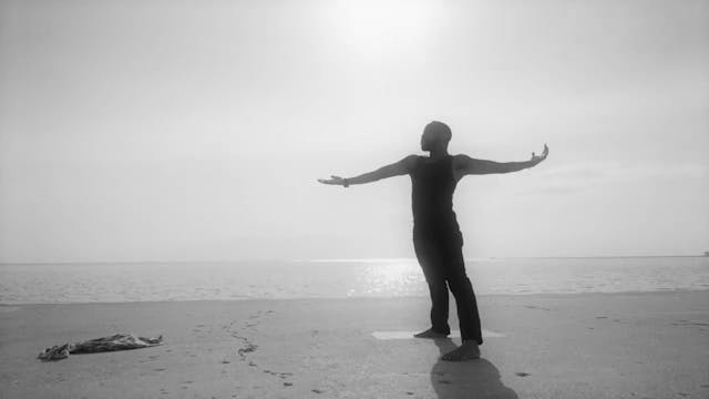 Trailer:  MOON SHADOWS music video