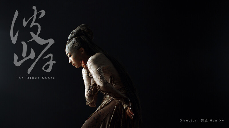 THE OTHER SHORE short film, reactions Dance/Music Film Festival