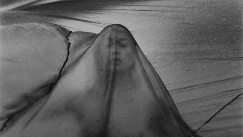 KATANA short film, audience reactions  (director interview)