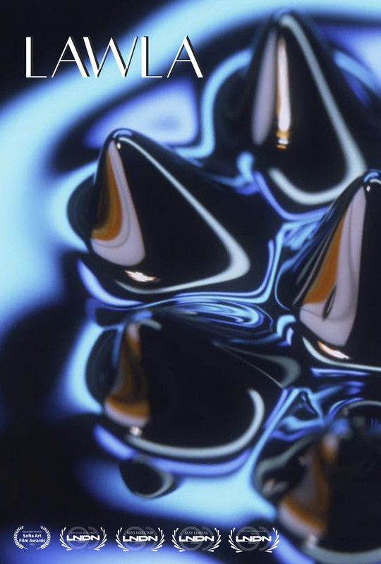 LAWLA short film, audience reactions (director interview)