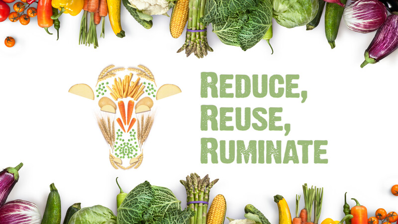 REDUCE, REUSE, RUMINATE short film review