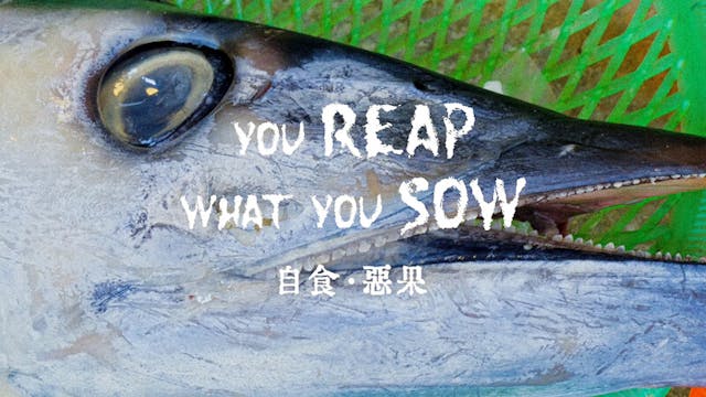 YOU REAP WHAT YOU SOW short film, aud...