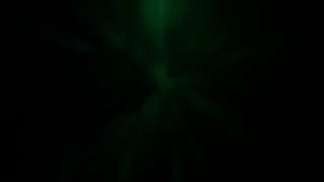 AUDIENCE FEEDBACK - WHY WE DANCE