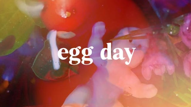 EGG DAY short film, audience reactions
