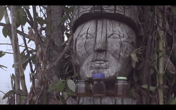 NGEN, 23min., Chili, Documentary