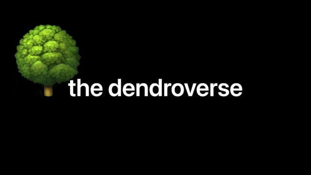 THE DENDROVERSE, 4min., Experimental/...