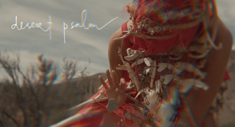 Desert Psalm - Night Teacher short film, audience reactions