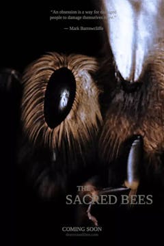 THE SACRED BEES short film, audience ...