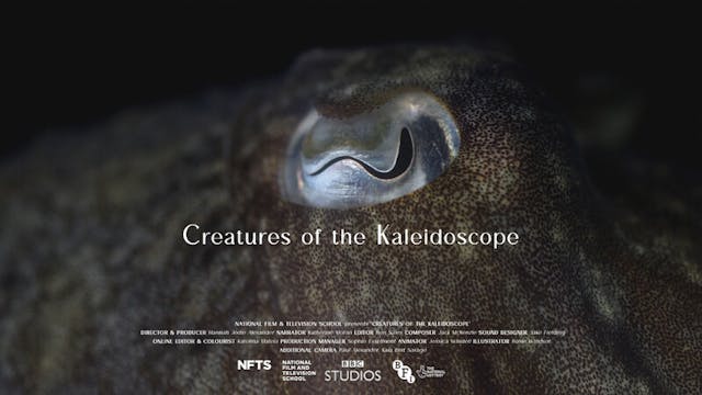 CREATURES OF THE KALEIODSCOPE short f...