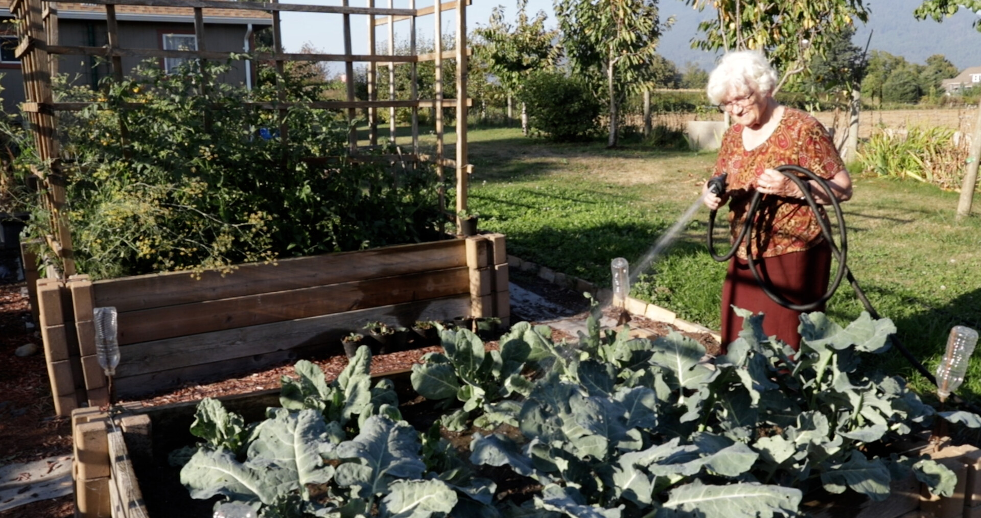 PEACE IN MY NIGHT, 13min., Canada, Documentary