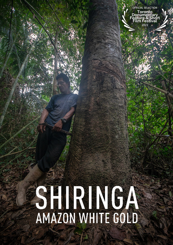 SHIRINGA: AMAZON WHITE GOLD short film, audience reactions (director interview)