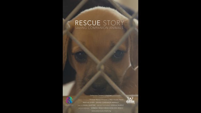 Rescue Story - Saving Companion Anima...