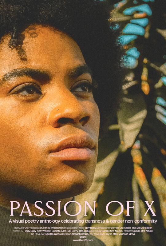 PASSION OF X short film, audience reactions (interview)