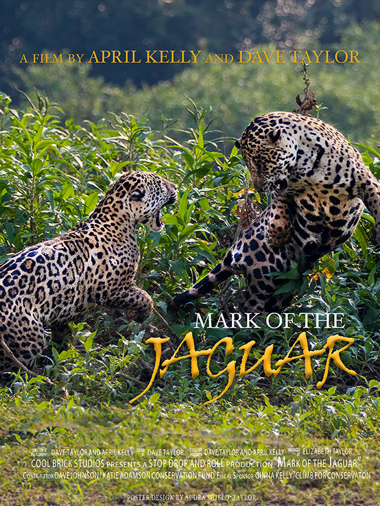 MARK OF THE JAGUAR short film, audience reactions