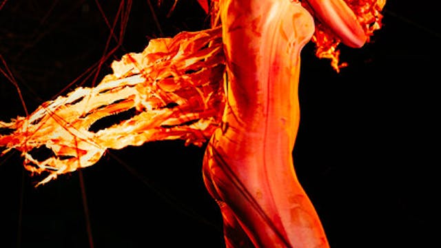 THE FORCES WITHIN short film, reactio...