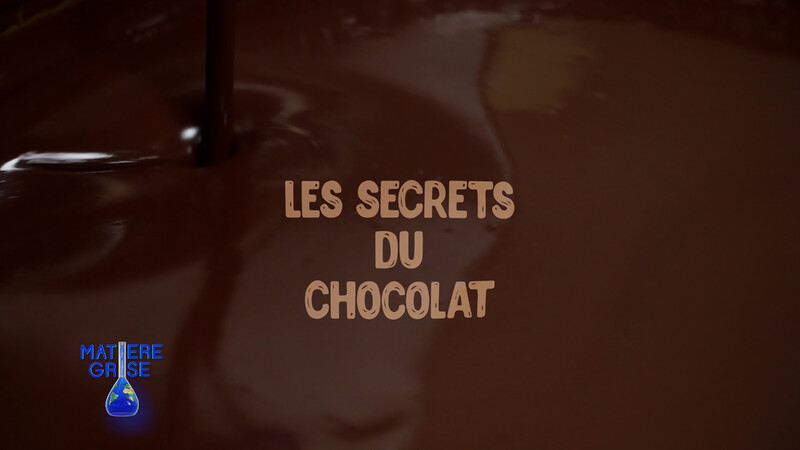 Watch Today's Film Festival: Best of DOC SHORTS Festival