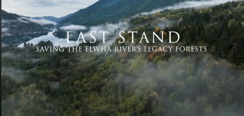 LAST STAND: SAVING THE ELWHA RIVER'S LEGACY FORESTS, ENVIRONMENTAL (interview)