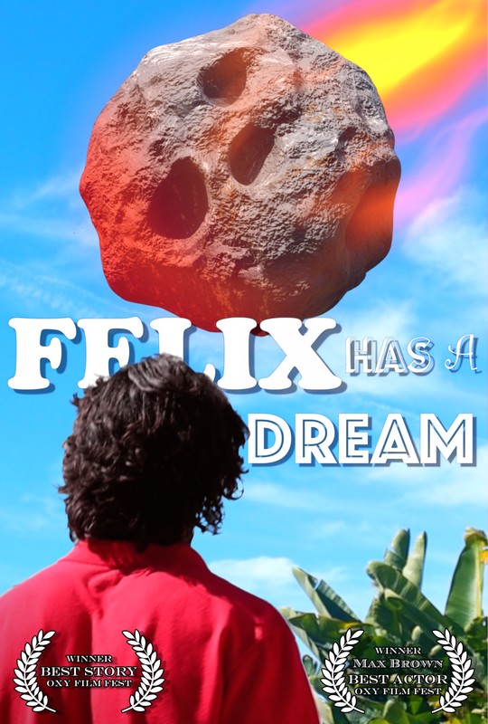 FELIX HAS A DREAM short film, Audience Reactions (with director interview)