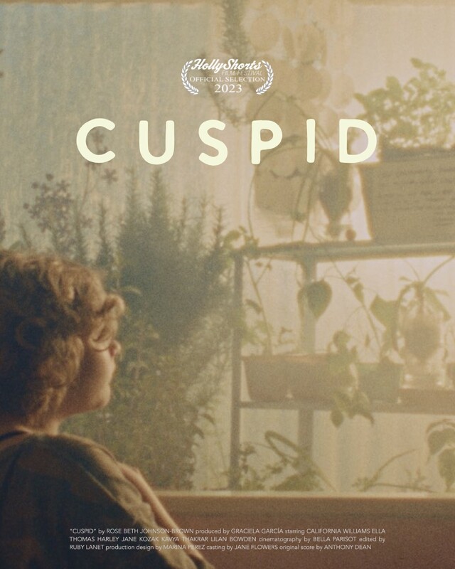 CUSPID short film, ENVIRONMENTAL review
