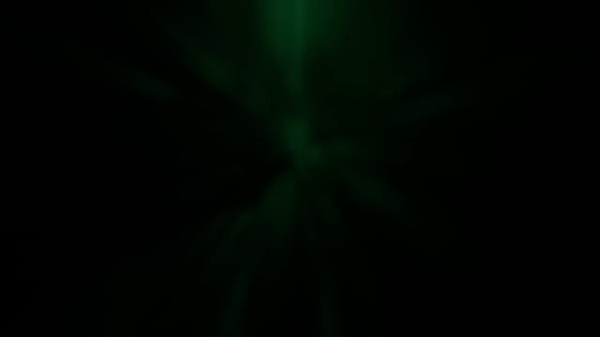 FREE SPIRITS film, reactions WILDsound Festival