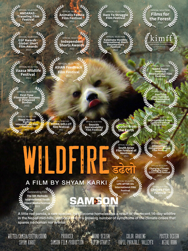 WILDFIRE short film, audience reactions (interview)