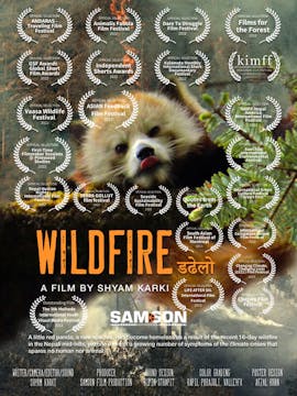 WILDFIRE short film, audience reactio...