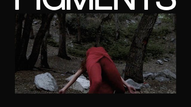 PIGMENTS: DOWN BY THE BAYOU short fil...