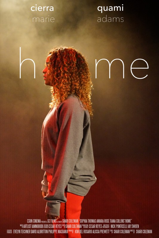 HOME short film, audience reactions (director interview)