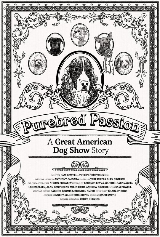 PUREBRED PASSION short film, reactions Chicago Festival (interview)