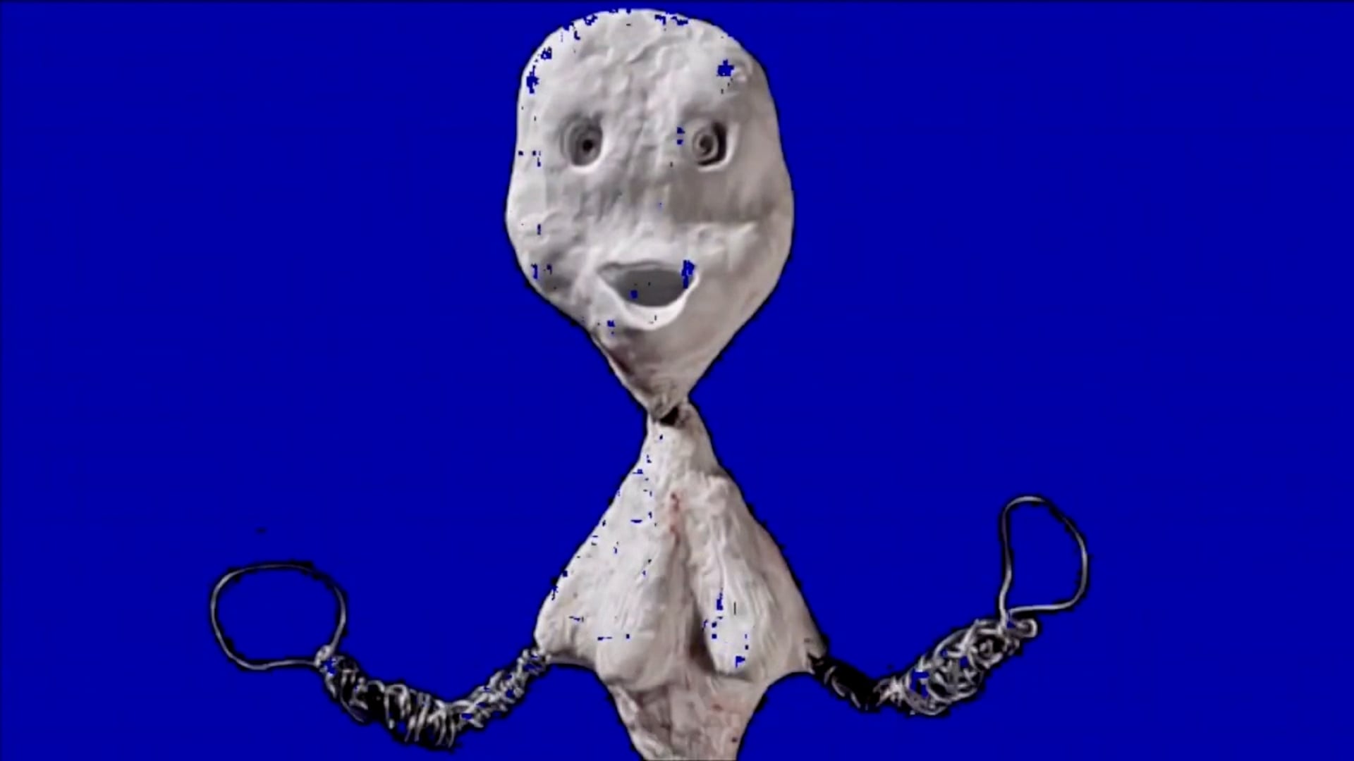 Pongo Labyrinth short film, reactions HORROR Festival (interview)