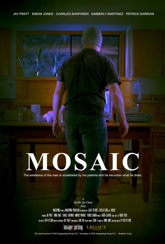 MOSAIC short film, audience reactions