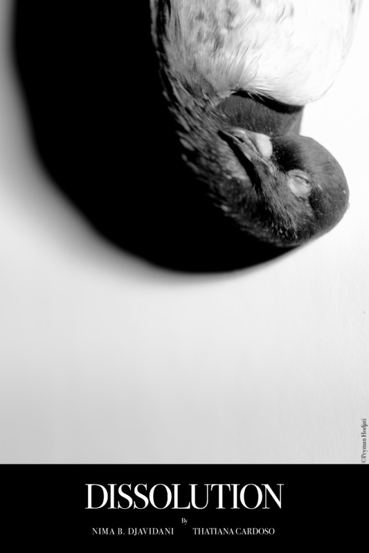 DISSOLUTION short film, audience reactions