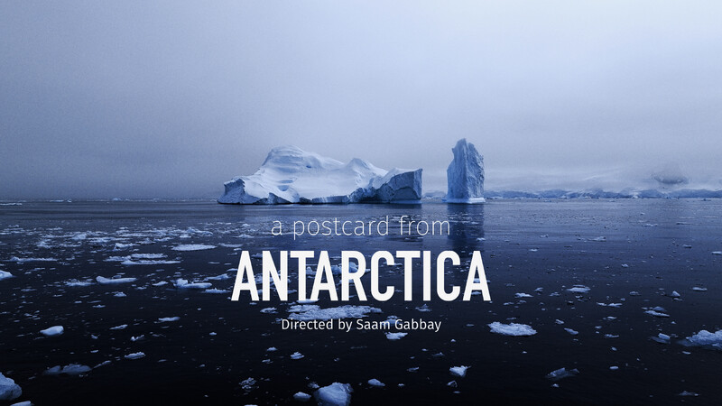 A POSTCARD FROM ANTARCTICA short film, reactions ENVIRONMENTAL Festival