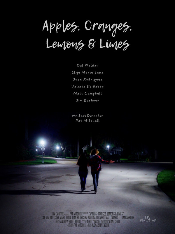 APPLES, ORANGES, LEMONS & LIMES short film, audience reactions (interview)