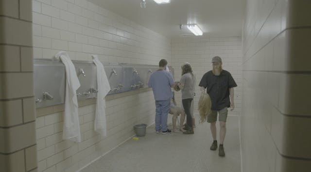 MISS TAKEN, 8min., USA, Experimental/...