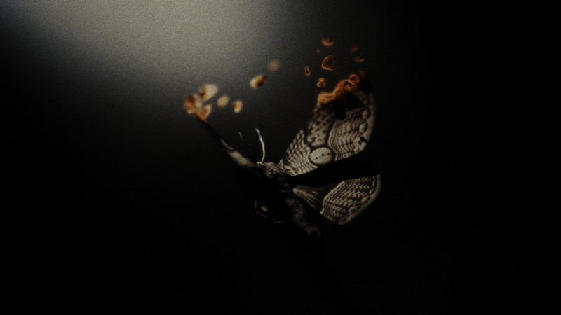 Elvis Presley - Unchained Melody music video, audience reactions