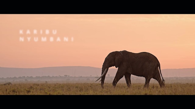 KARIBU NYUMBANI short film watch, 12min., Documentary/Environmental