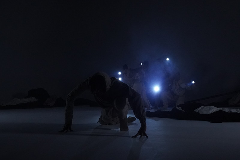 Short Film Trailer: CREATURA, 13min., Canada