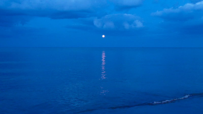 LETTER TO ONESELF short film review