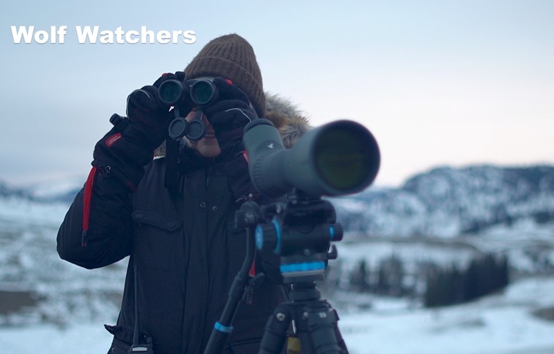 WOLF WATCHERS short film, audience reactions (with filmmaker interview)