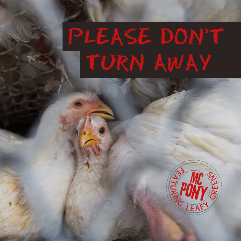 PLEASE DON'T TURN AWAY Short Film, Audience Reactions