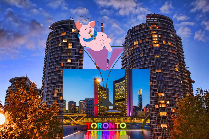 LGBTQ+ Festival 1st Scene: LORDS OF HOGTOWN, by Pat A. Brown