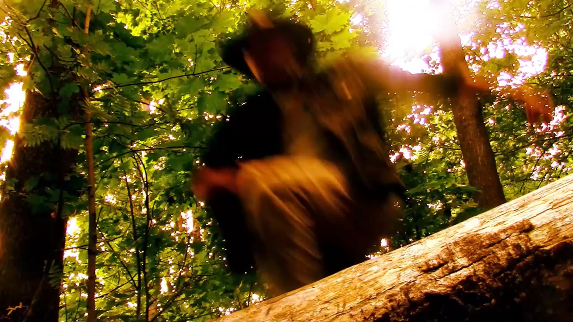 MOVIE TRAILER: Indyana Jones - End of the world, 25min., Finland