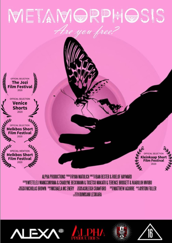 METAMORPHOSIS short film, audience reactions