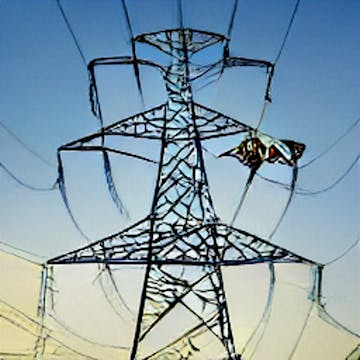 METAPHYSICAL RECLAMATIONS short film,...