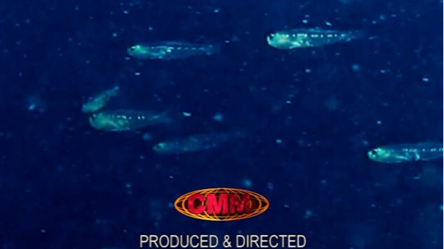 ASIAN Filmmakers Festival - Jan 2/3 event