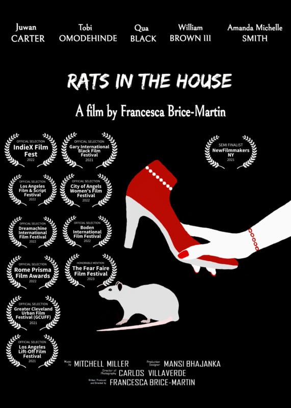 RATS IN THE HOUSE short film, audience reactions (director interview)