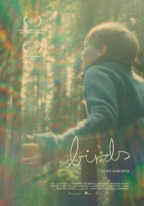 BIRDS short film, reactions Dance/Music Film Festival